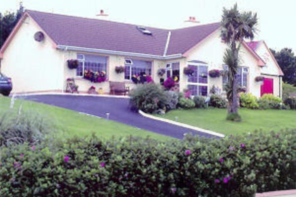 Bed & Breakfast The Yellow Rose Belderg